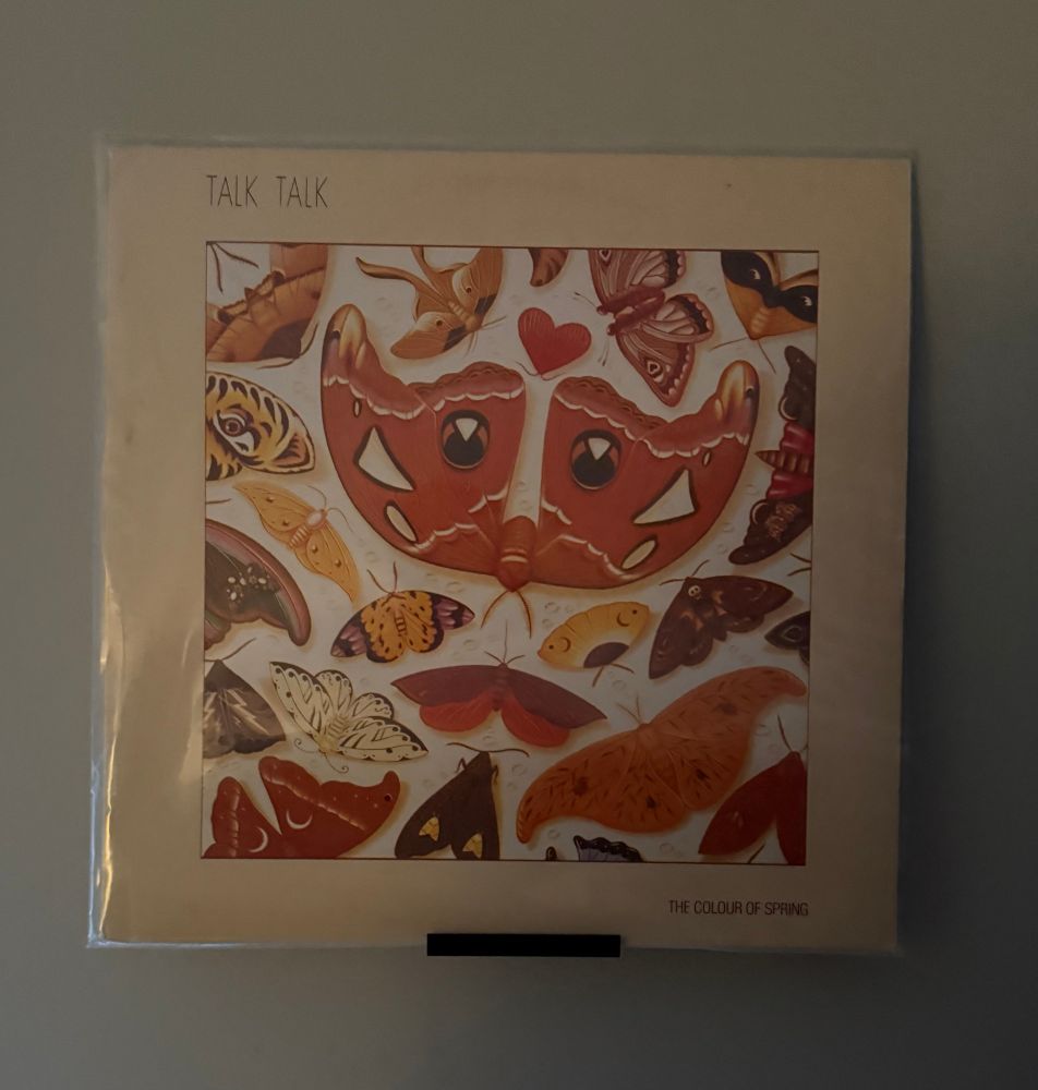 Talk Talk album the Colour of Spring - a painting of various orange butterflies 