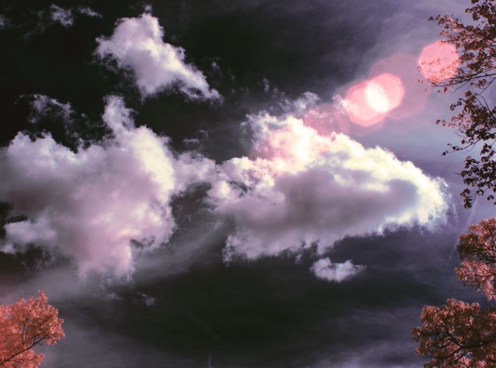 Infrared photography showing a grey sky with two large white clouds in the center of the frame slightly obscured by a lens flair. On the right edge and bottom left corner of the frame is a small portion of tree with copper leaves.