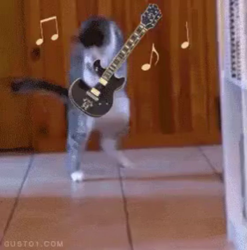 a cat is playing a guitar in the air while dancing .