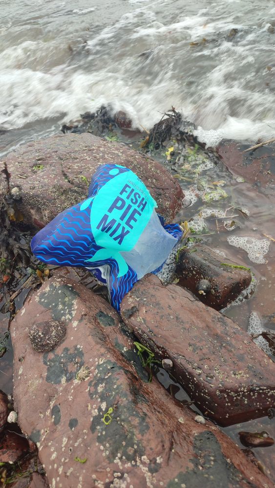 An empty 'fish pie mix' bag stranded on a rocky beach.