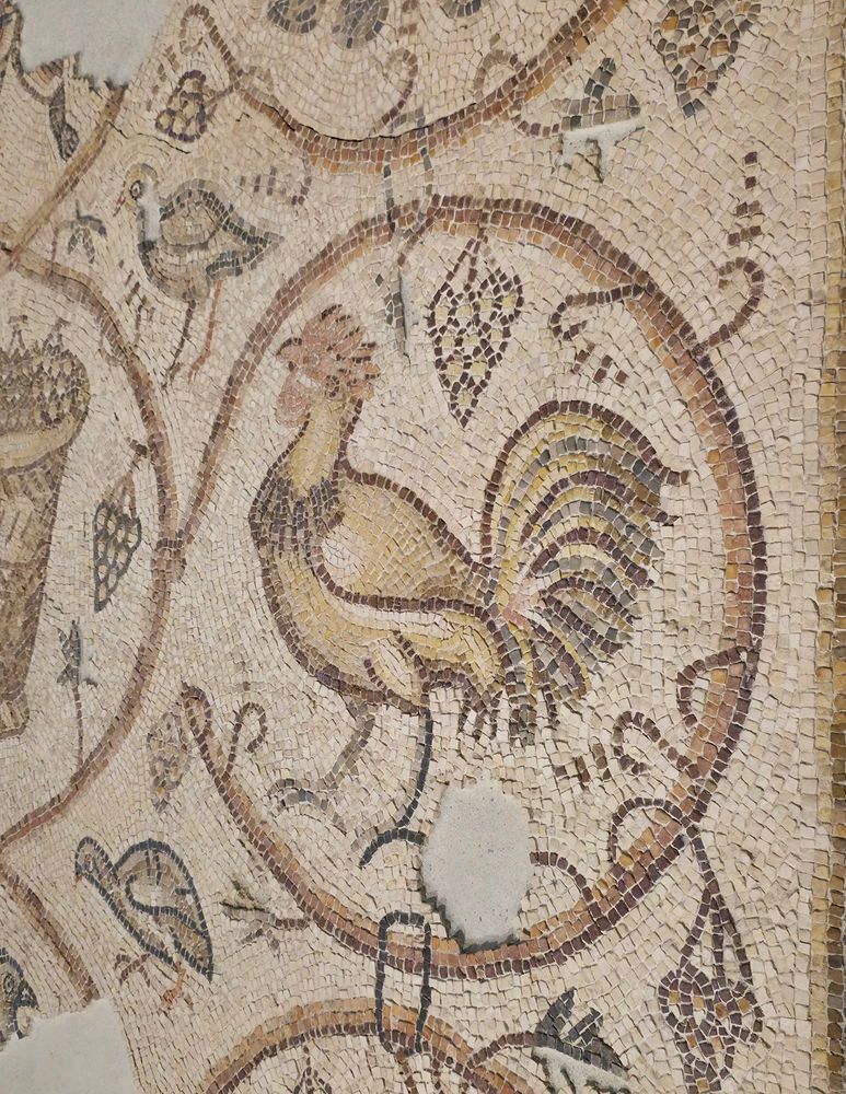 Cockeral mosaic from Byzantine period, 579. Collected in Gaza, Dayr al-Balah, on the site of a vanished Byzantine church, 1997. Institu Du Monde Arabe, Paris 2025