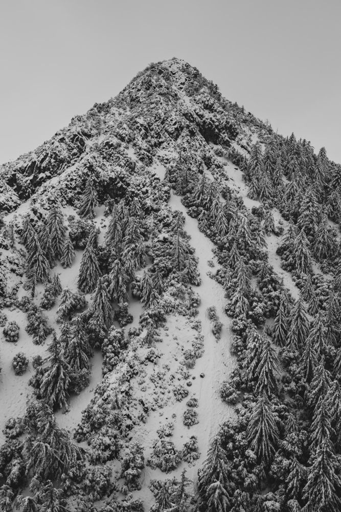 A snowy mountain peak surrounded by dense evergreen trees, in black and white. The landscape features a rugged terrain with patches of snow and rocky surfaces.