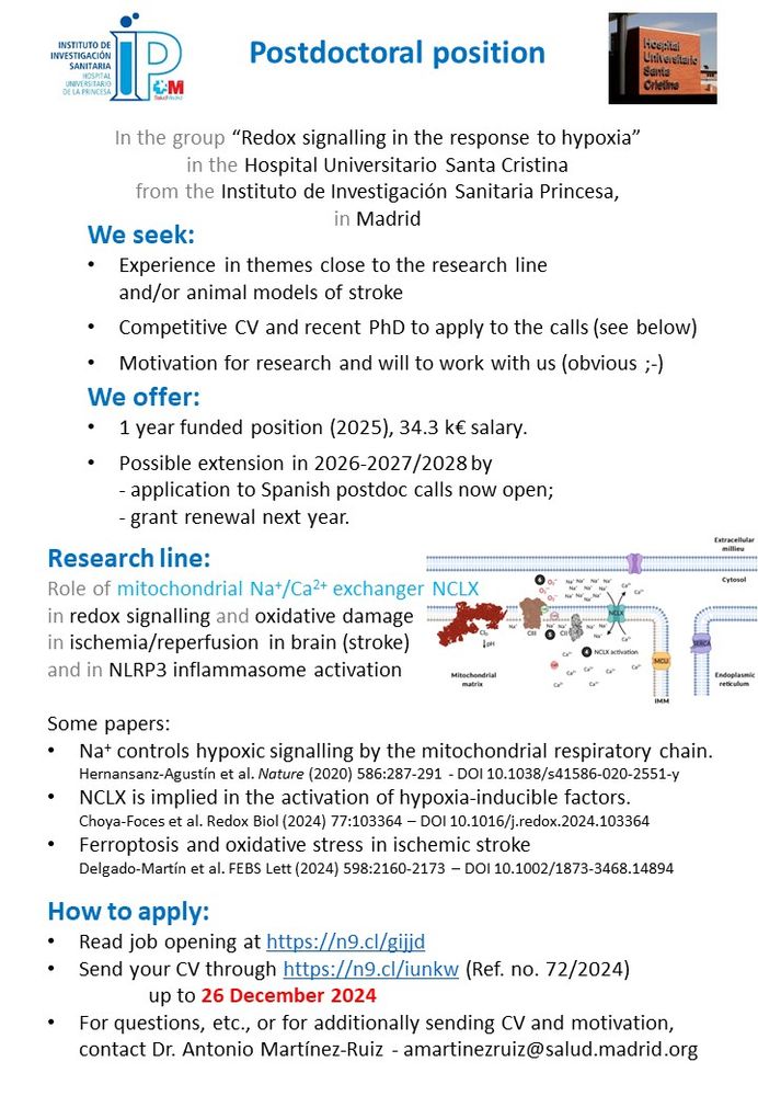Postdoctoral position in the group of Dr. Antonio Martínez Ruiz in Madrid