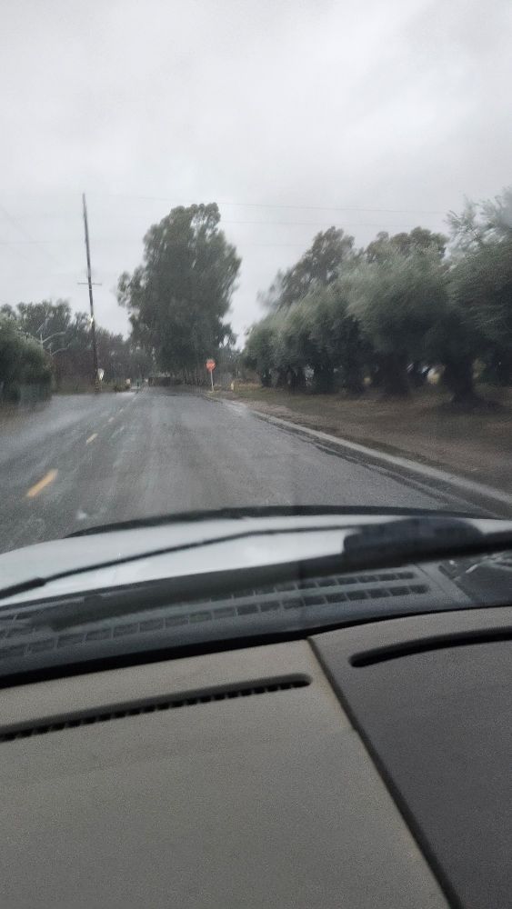 Rainy day with olive trees on the right side of the road.  But it is still a beautiful day to be alive.