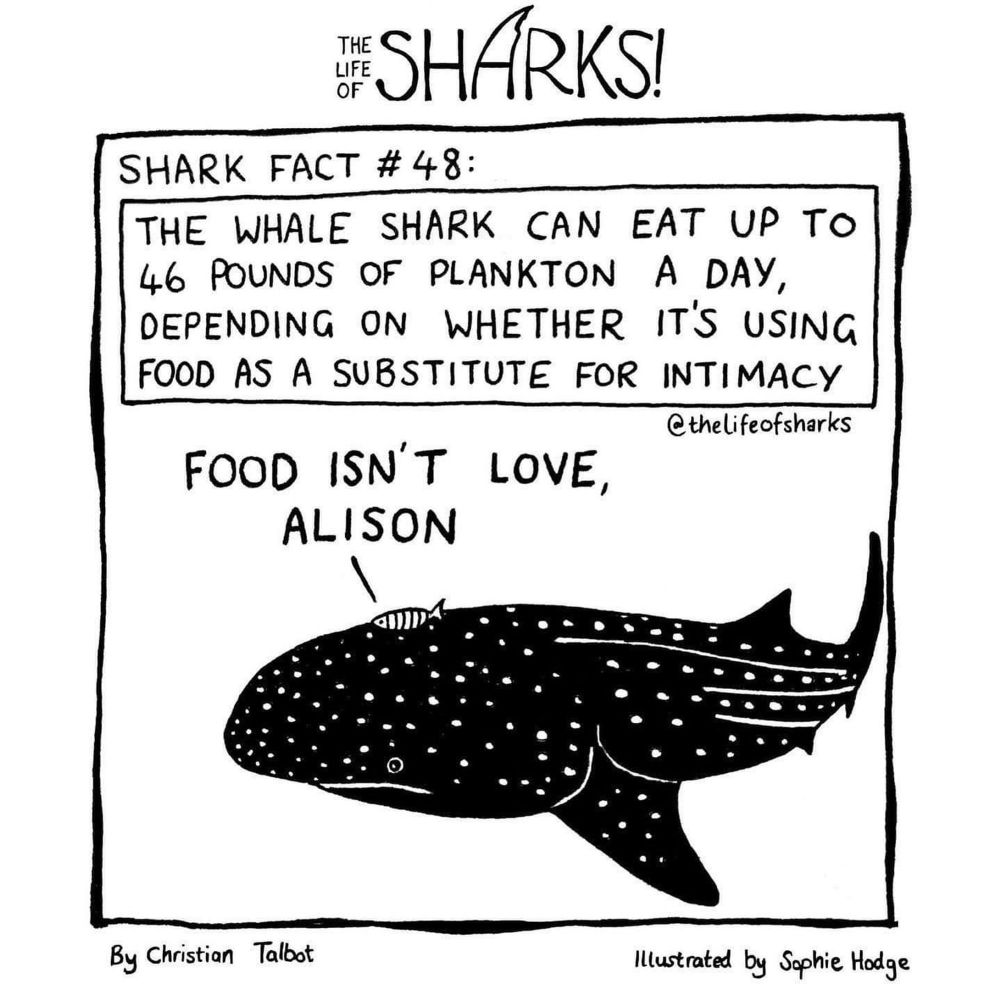 Life of Sharks cartoon featuring a whale shark. 