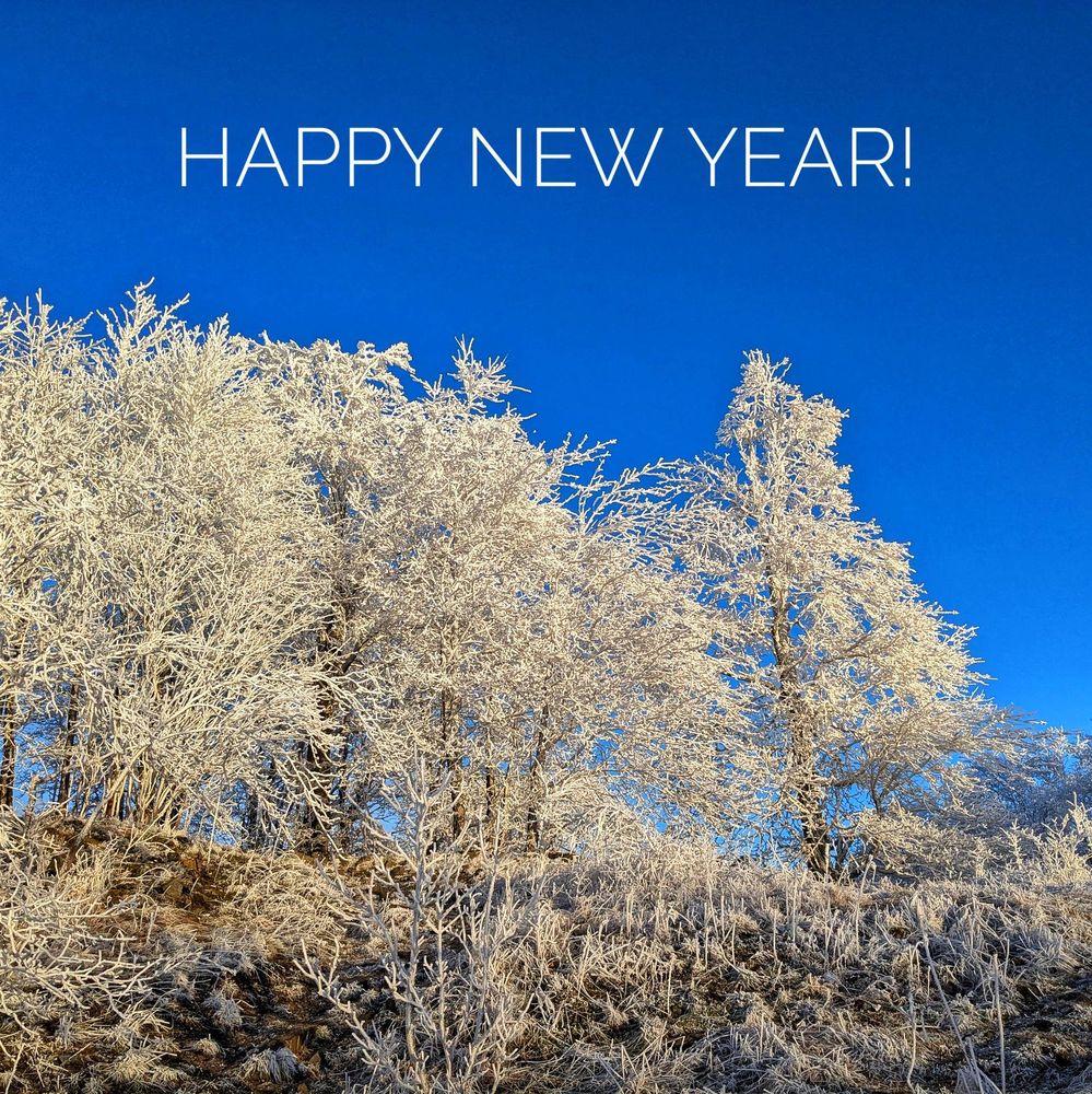 Happy new year wishes with some icy trees at the meissner mountain, Hesse, Germany 