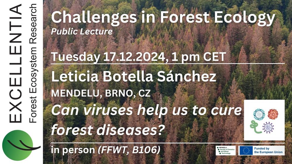 🧪🍁Join us on Tuesday, 17. December 2024, 1 pm CET (Prague) for our  #forest #ecology public lecture 
@ldf_mendelu, Brno, CZ  - "Can #viruses  help us to cure forests #diseases?" by Leticia Botella Sánchez, Mendel University in Brno. NOTE: In person, seminar room B106, FFWT