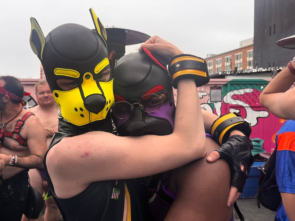 Two neoprene hooded puppies hugging. On the left a yellow hooded puppy, white with a sleeveless leather vest and cuffs on. On the right a black puppy with a red and purple neoprene hood, and brown glasses 