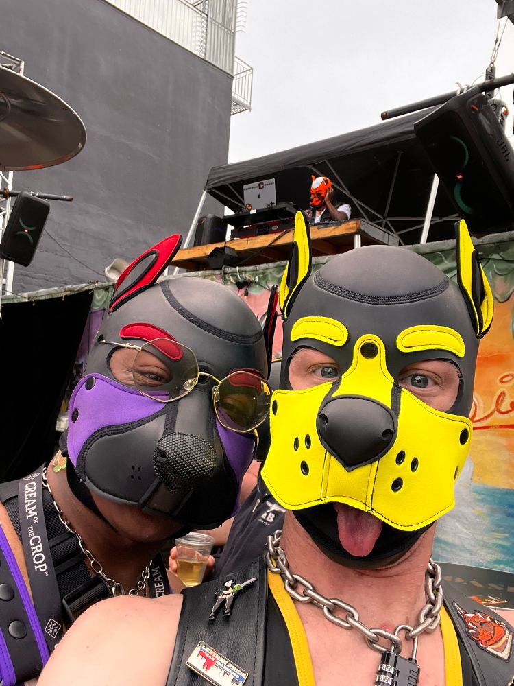 Two neoprene pups standing under a dj booth with another orange and white hooded puppy dj’s. On left a black pup with a red and purple neoprene hood and glasses; on the right a white pup with a yellow neoprene hood a leather vest, and a chain collar 