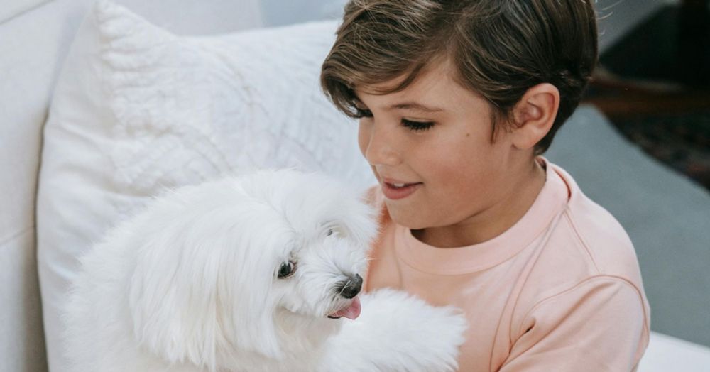 A Mental Health Hormone Is Released When Kids Play With Dogs