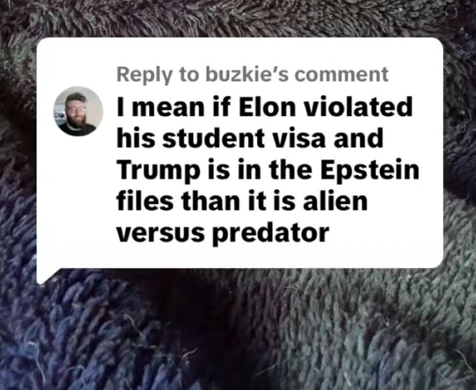 A text block that reads: "I mean, if Elon violated his student visa and Trump is in the Epstein files then [this] is Alien versus Predator".