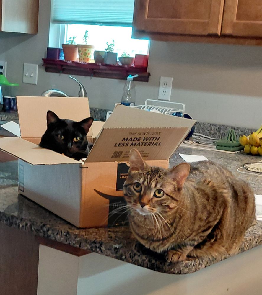 Boots in the box. Arthur waiting his turn