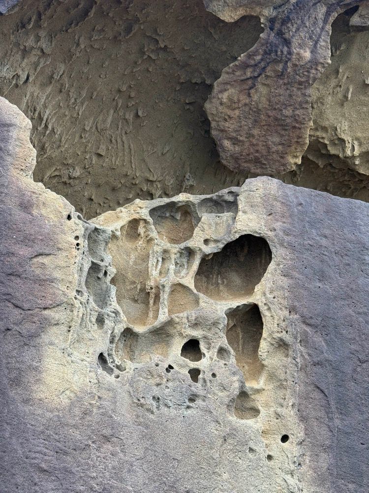 Stone texture with holes creating a nesting sort of  vibe, I think