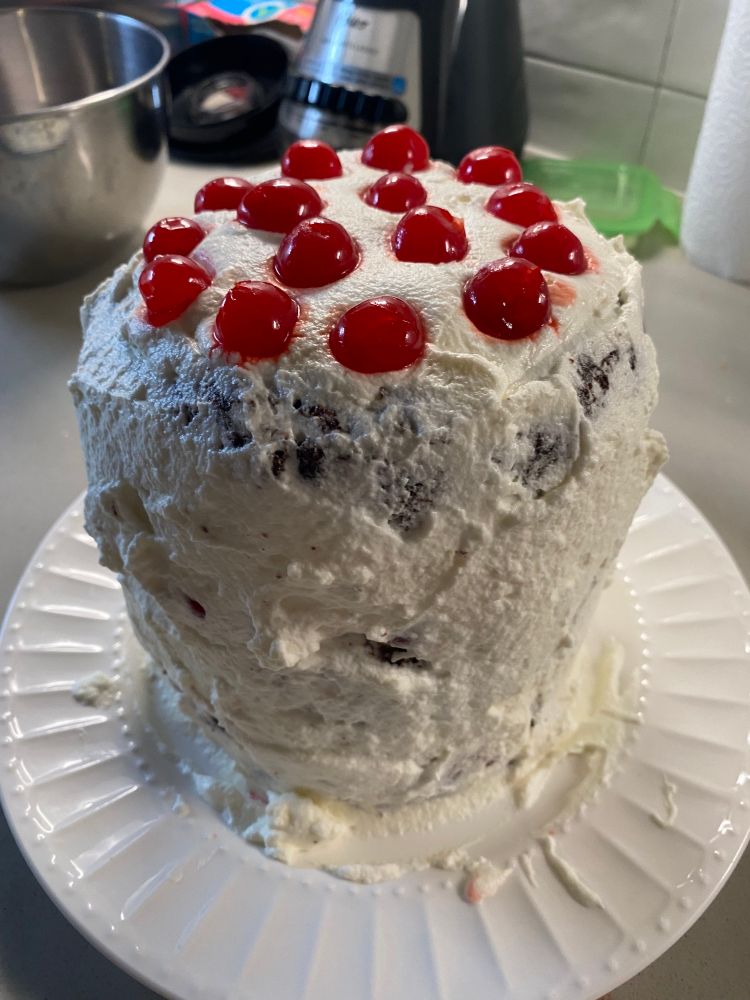 Made a black forest cake. It tasted very good. It's a rich cake for sure though so ya gotta pace yourself. 