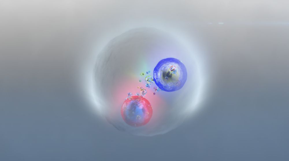 La colaboración internacional que opera el experimento ATLAS en el Gran Colisionador de Hadrones (LHC) del CERN informó a principios de julio de la observación del toponium, una unión de las partículas elementales más pesadas, el quark top. En física, es lo que se conoce como un ‘estado cuasi ligado’, una unión temporal entre partículas que es inestable y se acaba desintegrando. Durante décadas se pensó que este estado era imposible de detectar. Ahora, el experimento ATLAS confirma la observación del toponium realizada por el experimento CMS también en el LHC. Un grupo del Instituto de Física Corpuscular (IFIC), centro mixto del CSIC y la UV, ha jugado un papel importante en la detección de este nuevo sistema cuántico.

Todo lo que vemos en el universo, incluidos nosotros mismos, está formado por quarks. Entre ellos, el quark top es, por naturaleza, una partícula solitaria. A diferencia de otros quarks, que pueden combinarse para formar hadrones (como los protones que forman el núcleo del átomo), el quark top se desintegra casi instantáneamente, sin tiempo para formar estados ligados. En física, un estado ligado es aquel donde una partícula está atrapada en una región del espacio con otras partículas porque no tiene suficiente energía para escapar. Es estable, a diferencia del estado cuasi ligado, donde la partícula puede escapar y es temporal e inestable.

La mecánica cuántica, la física que explica el comportamiento de átomos y partículas, permite que, en condiciones excepcionales, un quark top y su antipartícula, un antiquark top, sobrevivan el tiempo suficiente como para interactuar y formar el toponium, un estado cuasi ligado de vida extremadamente breve. Sin embargo, durante décadas se había considerado prácticamente imposible de detectar en el LHC, el mayor acelerador de partículas del mundo donde los científicos hacen chocar protones a velocidades cercanas a la luz para recrear las condiciones en las que surgió el universo.
