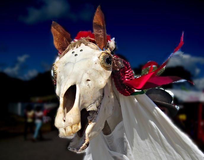 A Mari Lwyd, which is a horse skeleton head decorated with ribbons and fabric ears, and a long trailing white train to suggest the rest of a ghostly body.

Listen man it's Wales, this is just how it is.