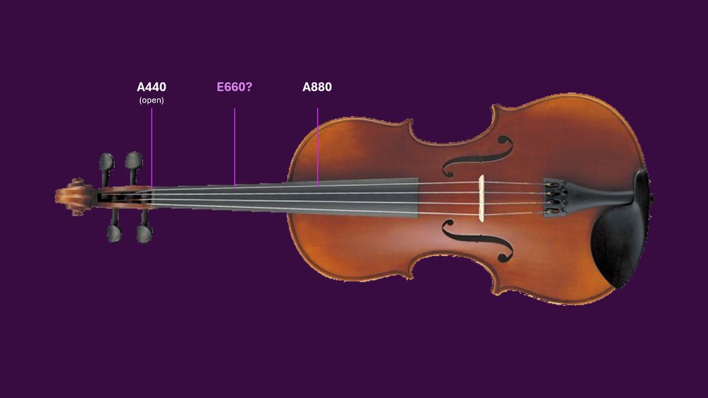 A viola on a dark purple background with three labeled points along the A string:

Near the scroll, “A440 (open)” marks the full string length.

Along the neck, “E660?” indicates the conjectured location for the note E.

“A880” marks the halfway point between the scroll and the bridge, one octave above the open A.