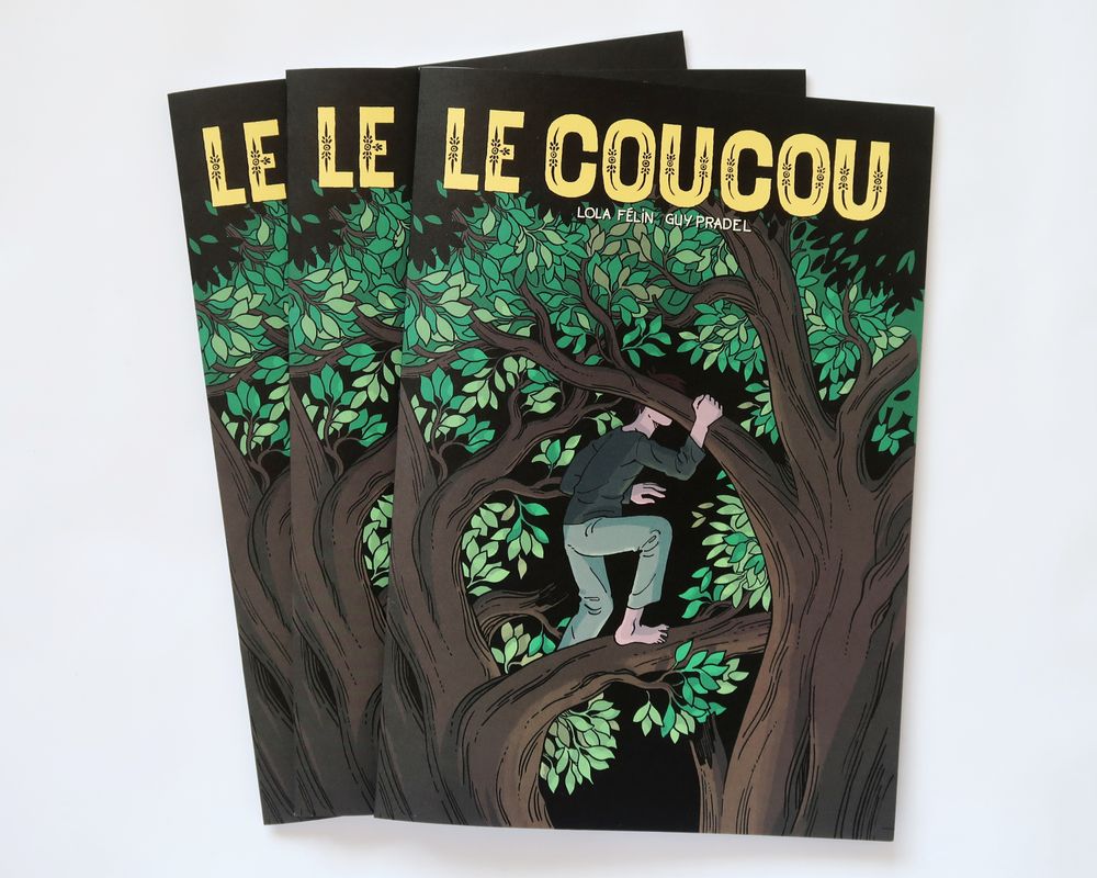 Le Coucou, by Lola Félin and Guy Pradel, cover.
A character, without shoes, face hidden by a branch, climbing a tree. 