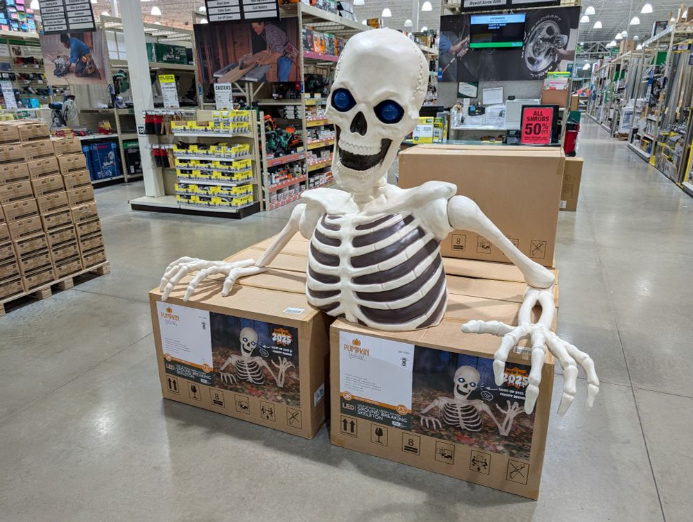 A giant skeleton already on sale at the Midwest supercenter on AUGUST FIRST 