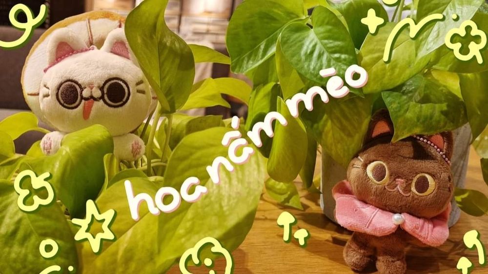A photograph showing two cat plushies standing behind a big pot of green plant. The text flow: "Hoa Nấm Mèo". A white cat with orange mushroom hat and a chocolate color cat with pink flower petals as collar.
