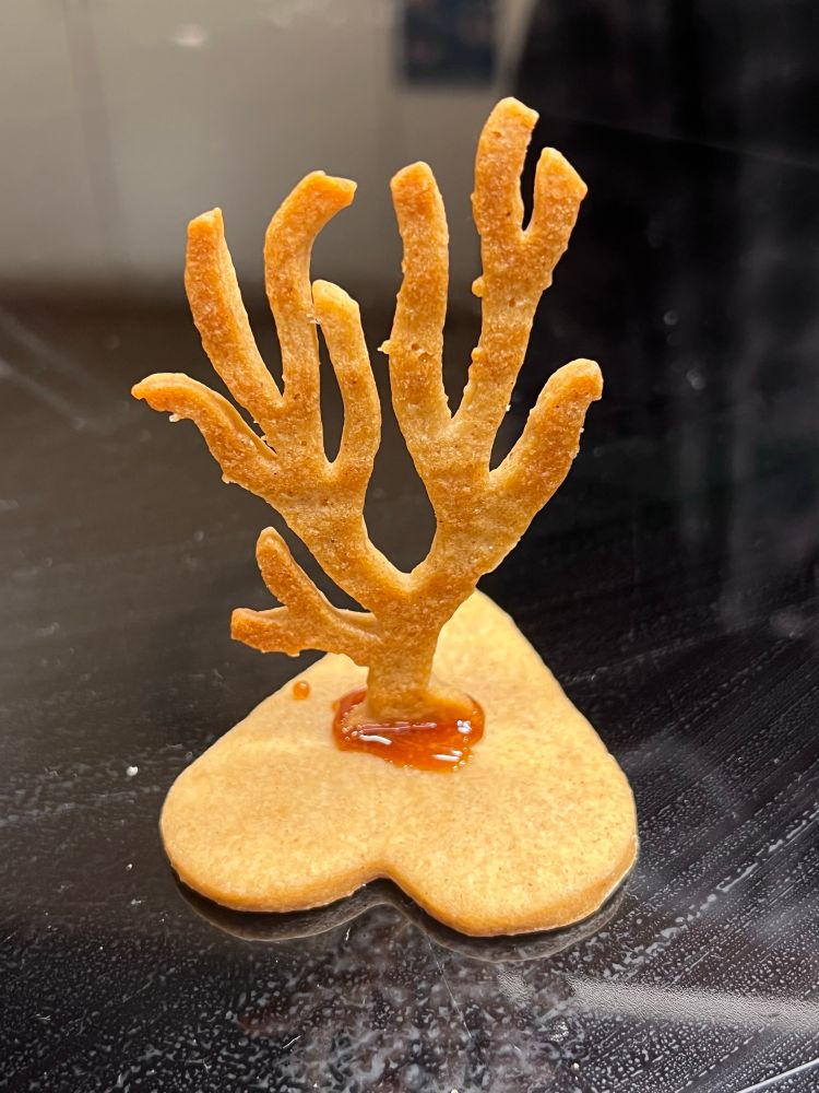 A photo of a gingerbread hornera