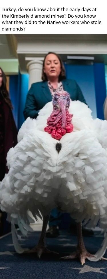 Turkey, do you know about the early days at the Kimberly diamond mine? Do you know what they did to the Native workers that stole diamonds? Don't worry, they didn't kill them....