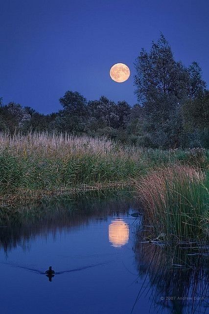 Credit:Lake girl
https://pin.it/5ynh0LzZJ