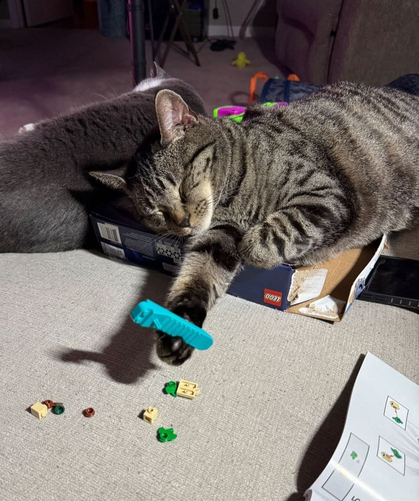 a cat laying on an opened Lego box with its eyes closed. in one paw, outstretched towards the camera, it is holding a Lego brick separator tool as if handing it to the photographer.
