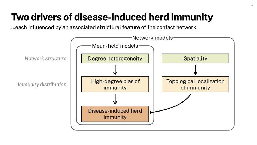 Schematic figure showing the two drivers of disease-induced herd immunity, each influenced by an associated structural feature of the contact network. High-degree bias of immunity is enhanced by degree heterogeneity and has a positive effect on disease-induced herd immunity. Topological localization of immunity is enhanced by spatiality and has a negative effect on disease-induced herd immunity.