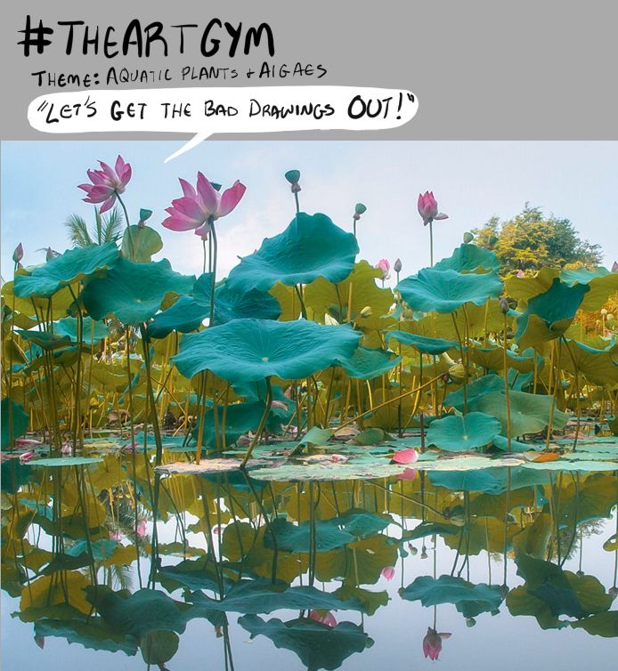 lilypad flowers for aquatic plant art gym practice