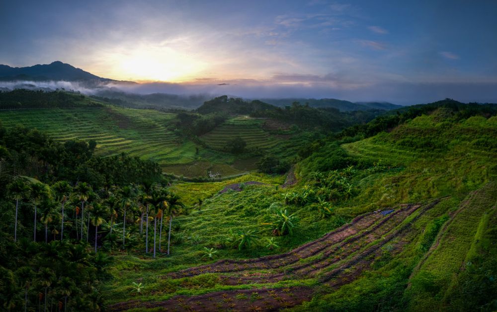I spent an overnighter at the Yahu rice terraces in Wuzhishan Hainan. Unfortunately I was about a week late and they had drained the fields and started cutting the rice ... Still a very beautiful location ... 