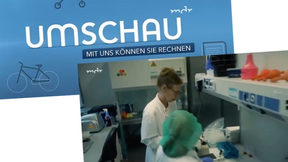 "MDR Umschau" und der Impfstoff-Film: Schweigen mit Sprachbausteinen | Übermedien