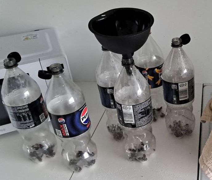 Empty bottles with sugar and raisins ready to be filled with lemon mead. Funnel is placed on top of one of the bottles.
