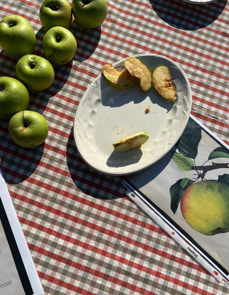 a bunch of whole green apples and a ceramic platter with apple slices on it, all on a table covered by a checkered tablecloth. a botanical illustration of an apple is on the table nearby