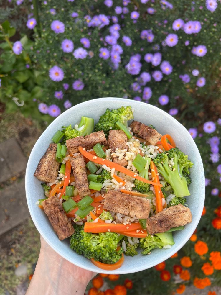 bowl of food held against a background of orange and purple flowers. the bowl is filled with a stir fry of rice, broccoli, carrots, and tofu (and an uneven distribution of green onion)