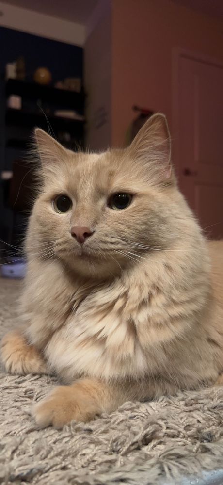 My sweet little angel being a handsome sophisticated gentleman