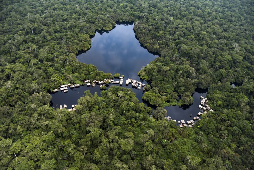 Luchtfoto van een Congolees veengebied in de Democratische Republiek Congo. (c) Daniel Beltra / Greenpeace. October 2017.