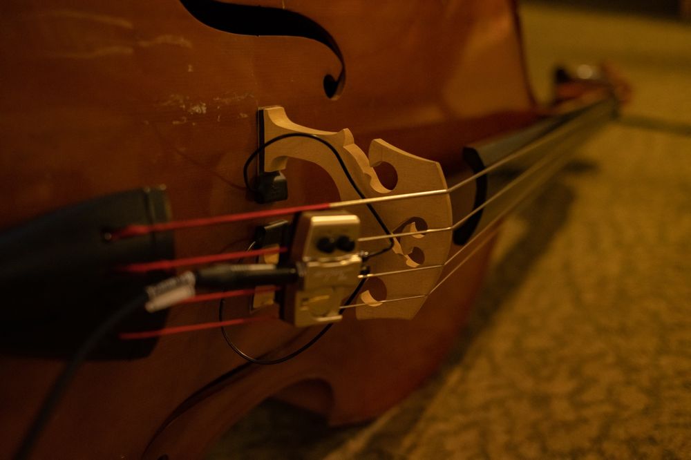 A dimly lit double bass, lies on its side, waiting…