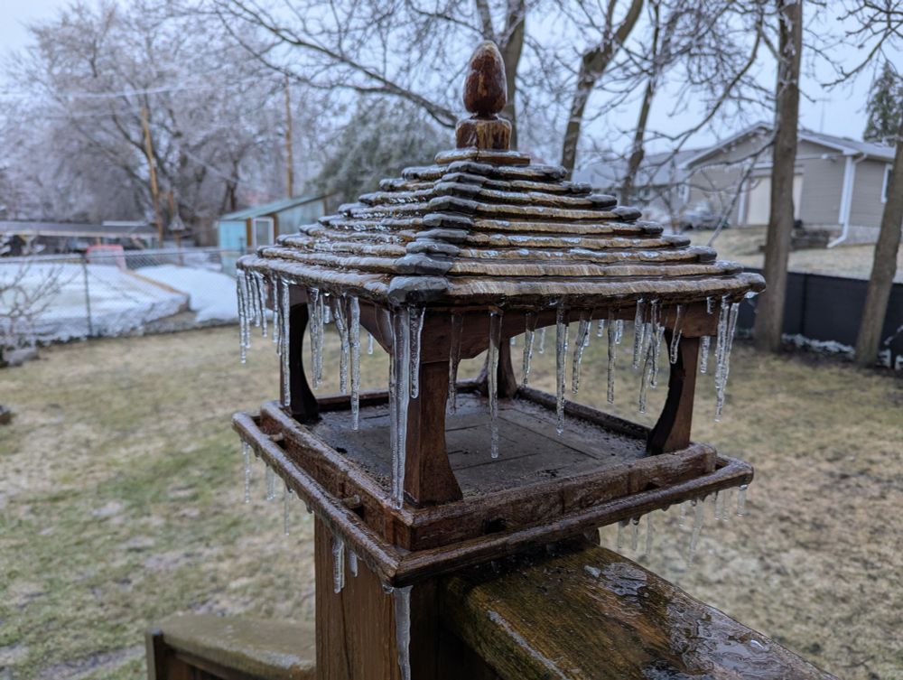 Close up of a cedar wood, open sided bird feeder with shingled roof. Icicles are dripping down off the roof. 
The background has a yard with a homemade skating rink (or currently a shallow wading pool).