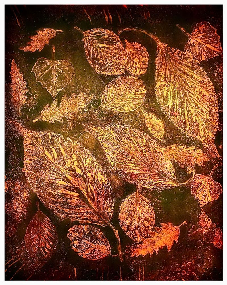 Monoprints made using fallen autumn leaves. 