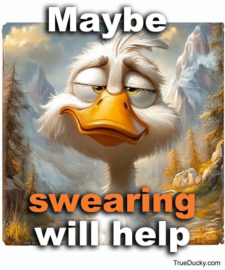 Comment image