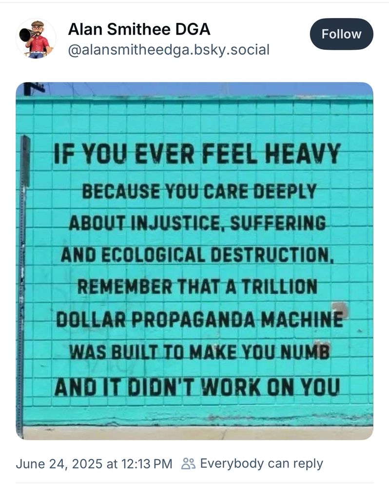 Ai slop IF YOU EVER FEEL HEAVY BECAUSE YOU CARE DEEPLY ABOUT INJUSTICE, SUFFERING AND ECOLOGICAL DESTRUCTION. REMEMBER THAT A TRILLION DOLLAR PROPAGANDA MACHINE WAS BUILT TO MAKE YOU NUMB AND IT DIDN'T WORK ON YOU