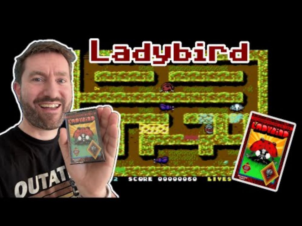 C64 Spielzeit 190 Ladybird