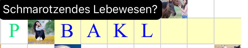 kreuzworträtsel es wird gesucht schmarotzendes lebewesen mit 7 Buchstaben, drin steht bakl 
