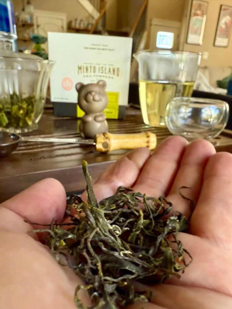 Shows a hand holding up green tea leaves before steeping with a Chinese gongfu tea set in the background. 