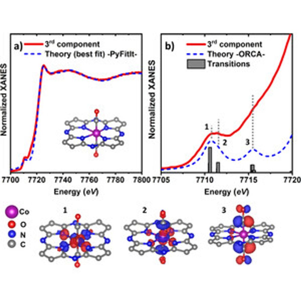 Revealing the structure of the active sites for the electrocatalytic CO2 reduction to CO over Co single atom catalysts using operando XANES and machine learning