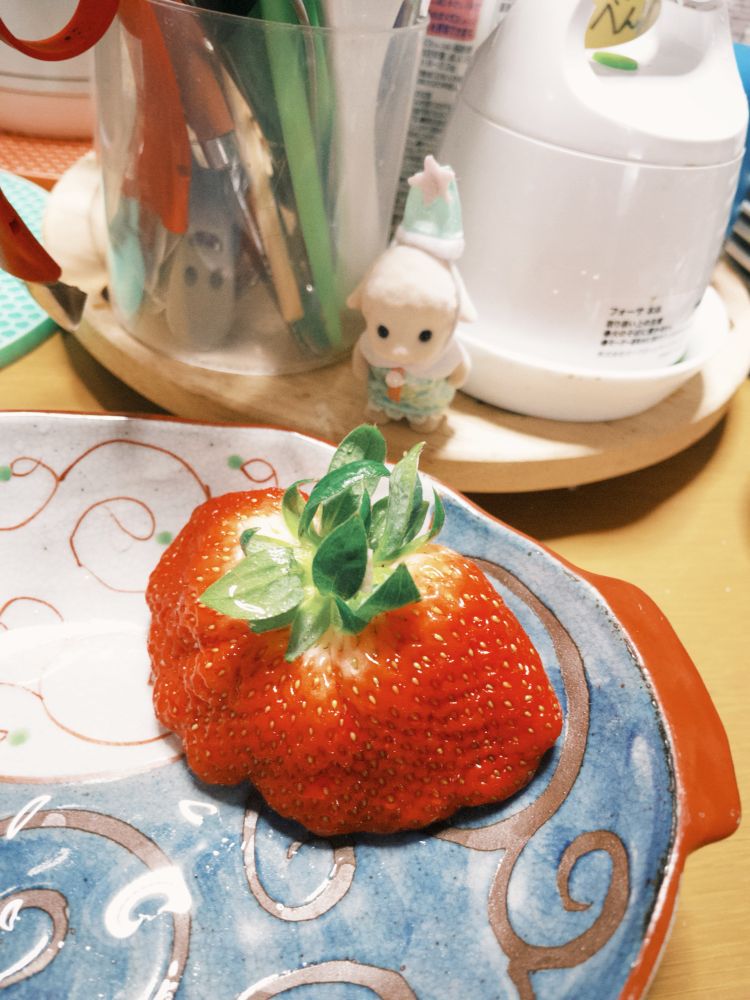 おばあちゃん家で出てきたおばけ苺とかわいいシルバニアの赤ちゃん