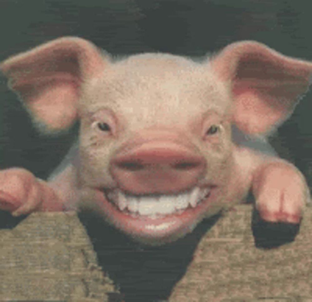 a pig with a big smile on its face is peeking over a wooden fence