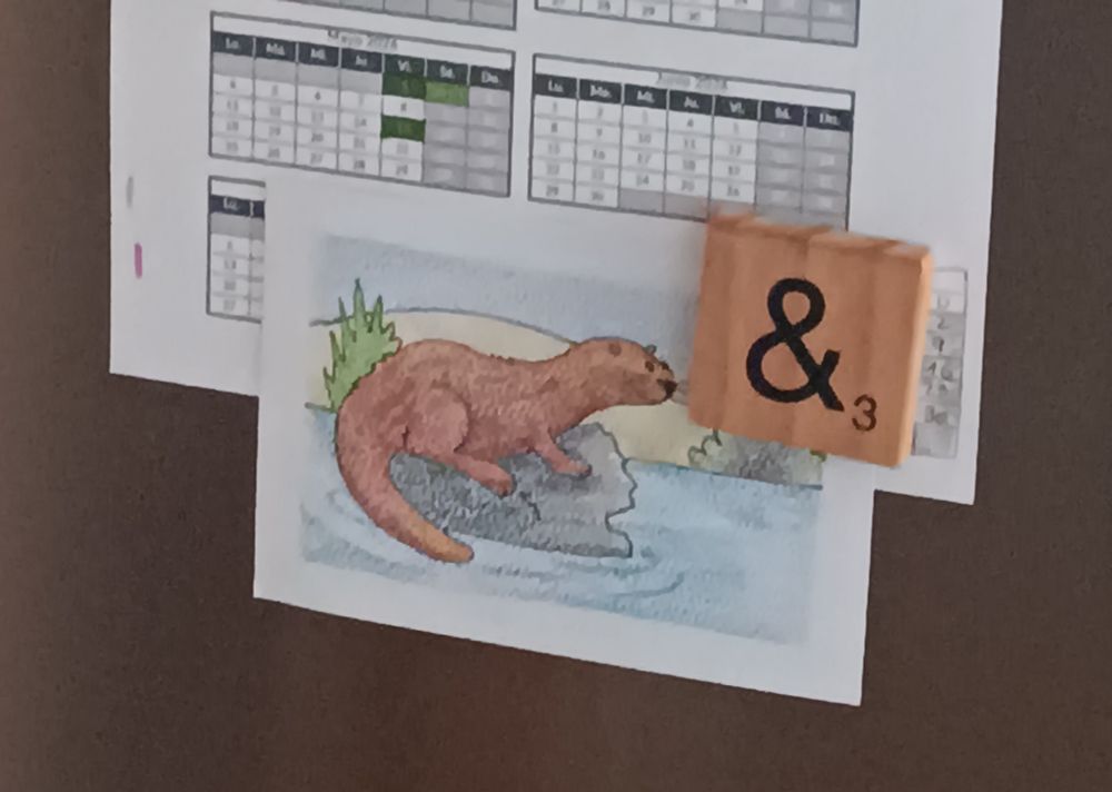 Foto a la postal, que está colgada en la puerta de la nevera. Es un dibujo de una nutria :)