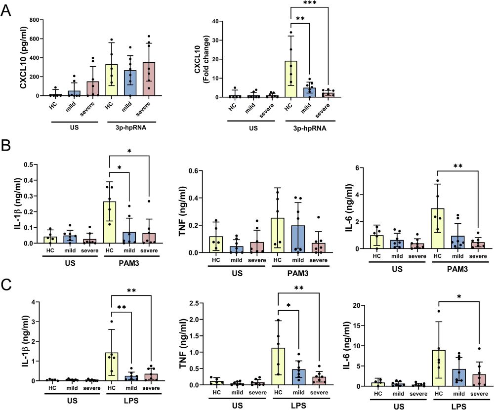 Fig. 3. Monocytes from convalescent COVID-19 participants exhibit a lowered cytokine response upon activation. Primary human monocytes were unstimulated (US) or stimulated for 24 h with 1 µg/ml 3p-hpRNA, 100 ng/ml Pam3, or 10 ng/ml LPS. (A) CXCL10, (B, C) IL-1β, IL-6 and TNF secretion were measured by ELISA. (A-C) Data are displayed as pooled data as mean ± 95 % CI from 5 to 8 healthy controls (HC), 7–8 mild COVID-19 participants and 7 severe COVID-19 participants. (A) The CXCL10 data is also displayed as the fold change compared to the corresponding US control and presented as the as mean ± 95 % CI. (A-C) Significance was determined using a one-way ANOVA with Dunnet‘s multiple comparisons test or a Kruskal-Wallis test with Dunnet‘s multiple comparisons test (*p ≤ 0.05, **p ≤ 0.01, ***p ≤ 0.001).